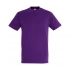 T-shirt for men REGENT 150