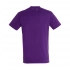 T-shirt for men REGENT 150