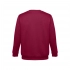 Unisex sweatshirt DELTA 300