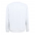 Men's sweatshirt COLOMBO 240