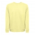 Men's sweatshirt COLOMBO 240