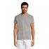 T-shirt for men REGENT 150