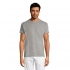 Men's T-shirt REGENT 150