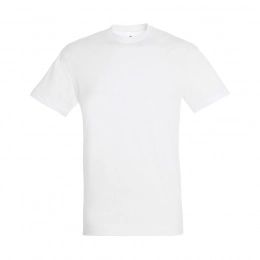 Men's T-shirt REGENT 150