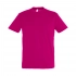 Men's T-shirt REGENT 150