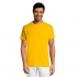 T-shirt for men REGENT 150
