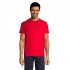 T-shirt for men REGENT 150