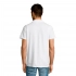 Polo for men SUMMER 170
