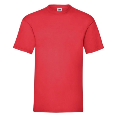 
                                                T-shirt man's VALUEWEIGHT T 165
                                                