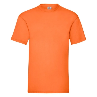 
                                            T-shirt man's VALUEWEIGHT T 165
                                            
