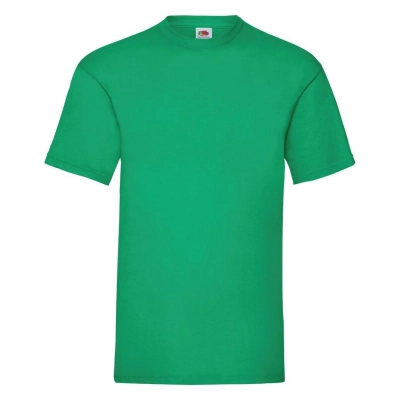 
                                                T-shirt man's VALUEWEIGHT T 165
                                                