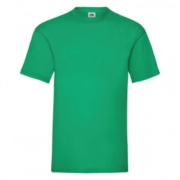 T-shirt man's VALUEWEIGHT T 165