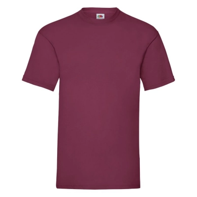 
                                                T-shirt man's VALUEWEIGHT T 165
                                                