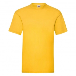 Men's VALUEWEIGHT T-shirt 165