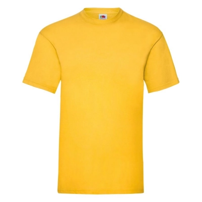 
                                                T-shirt man's VALUEWEIGHT T 165
                                                