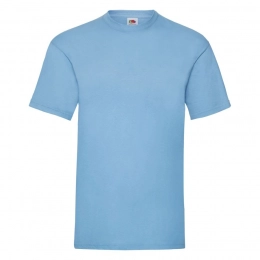 Футболка мужская VALUEWEIGHT T 165