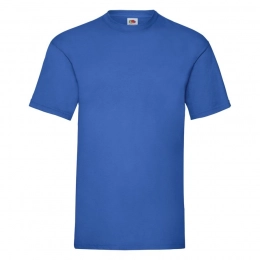 Men's VALUEWEIGHT T-shirt 165