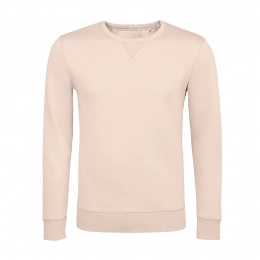 Толстовка-свитшот мужской SULLY 280