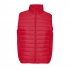 Men's vest 