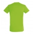 Men's T-shirt REGENT 150
