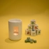 Aroma cubes WHITE TEA and GINGER (8 pcs)