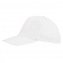 Baseball cap BUZZ, 5 gussets, Velcro