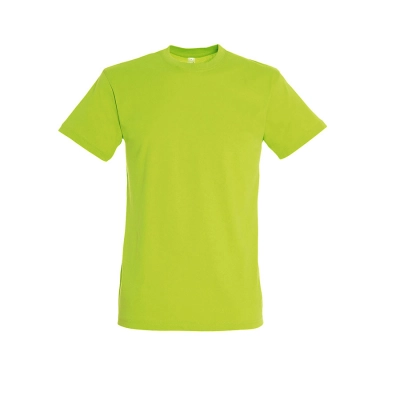 
                                                Men's T-shirt REGENT 150
                                                