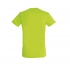 Men's T-shirt REGENT 150