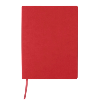 
                                                BIGGY business notebook, B5 format, squared.
                                                