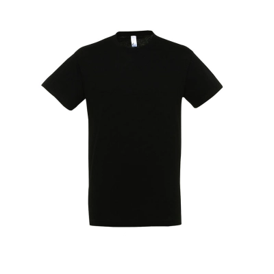 
                                                Men's T-shirt REGENT 150
                                                