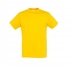 Men's T-shirt REGENT 150
