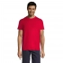 Men's T-shirt REGENT 150