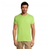 T-shirt for men REGENT 150