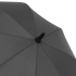 BLIZZARD - Automatic stick umbrella