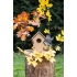 Bird house ECO HOME