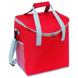 Термосумка FROSTY