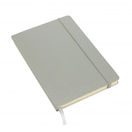 Notebook ATTENDANT in DIN A5 format, silver