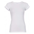 T-Shirts. Ladies Basic Stretch Tee
