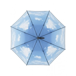 Зонты. Автоматический зонт FARE® Impressions