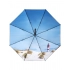 Зонты. Автоматический зонт FARE® Impressions