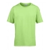Softstyle® Youth T-Shirt