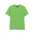 Softstyle® T- Shirt