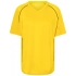 Team Shirt