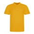 The 100 Polo