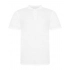 The 100 Polo