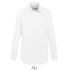 Men Boston Fit Shirt