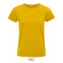 Pioneer Women T-Shirt
