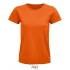 Pioneer Women T-Shirt