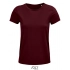 Crusader Women T-Shirt