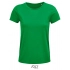 Crusader Women T-Shirt